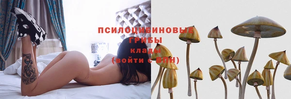 стафф Нефтекумск