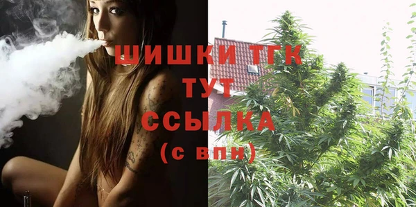 ГАЛЛЮЦИНОГЕННЫЕ ГРИБЫ Нея