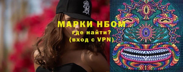 стафф Нефтекумск