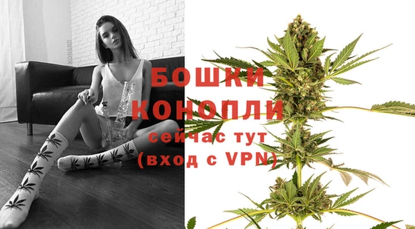 ГАЛЛЮЦИНОГЕННЫЕ ГРИБЫ Нея