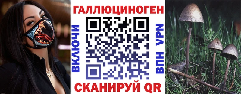 Псилоцибиновые грибы Magic Shrooms  как найти наркотики  кракен ТОР  Мичуринск 