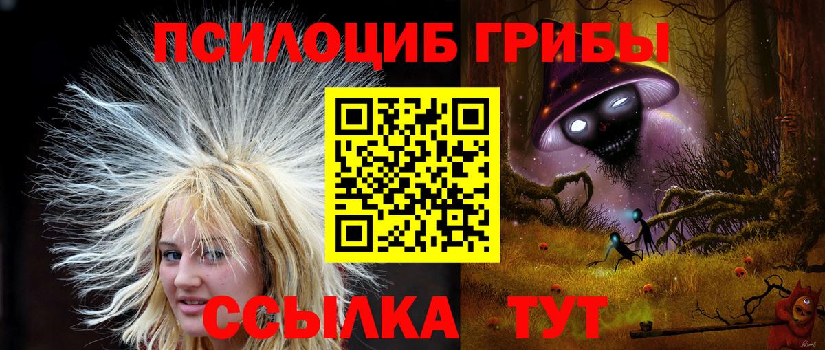 закладки  Псилоцибиновые грибы Magic Shrooms  Вход с VPN  Мичуринск  Галлюциногенные грибы прущие грибы 