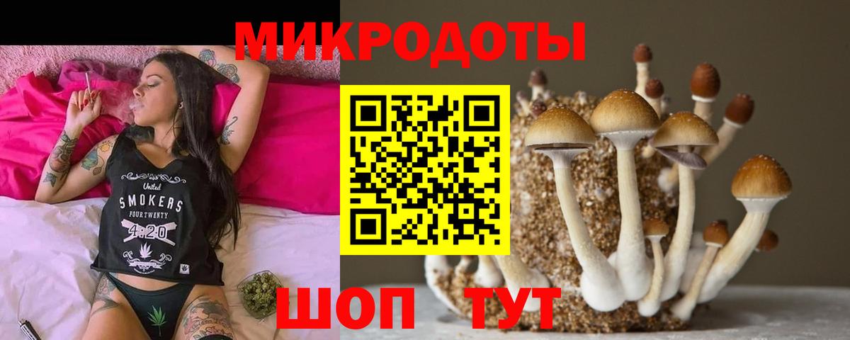 Галлюциногенные грибы GOLDEN TEACHER Мичуринск
