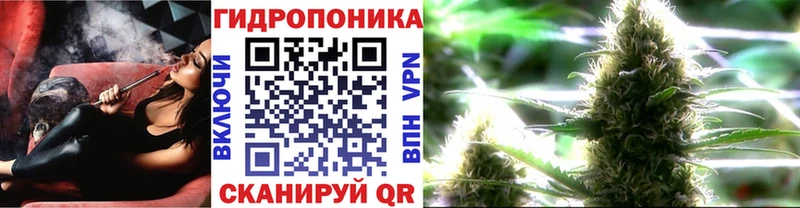 Шишки марихуана ГИДРОПОН  Мичуринск 